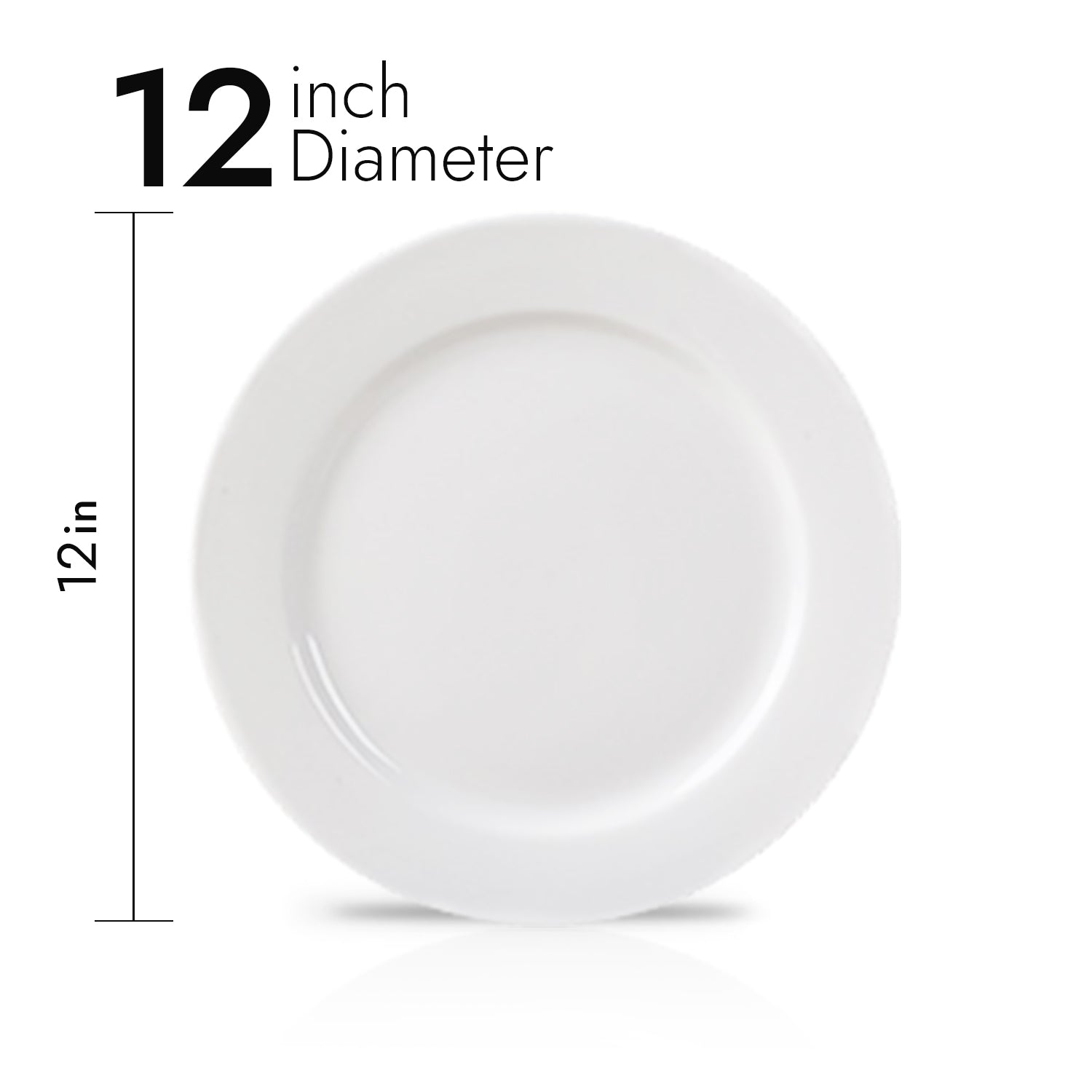 Large Dinner Plate